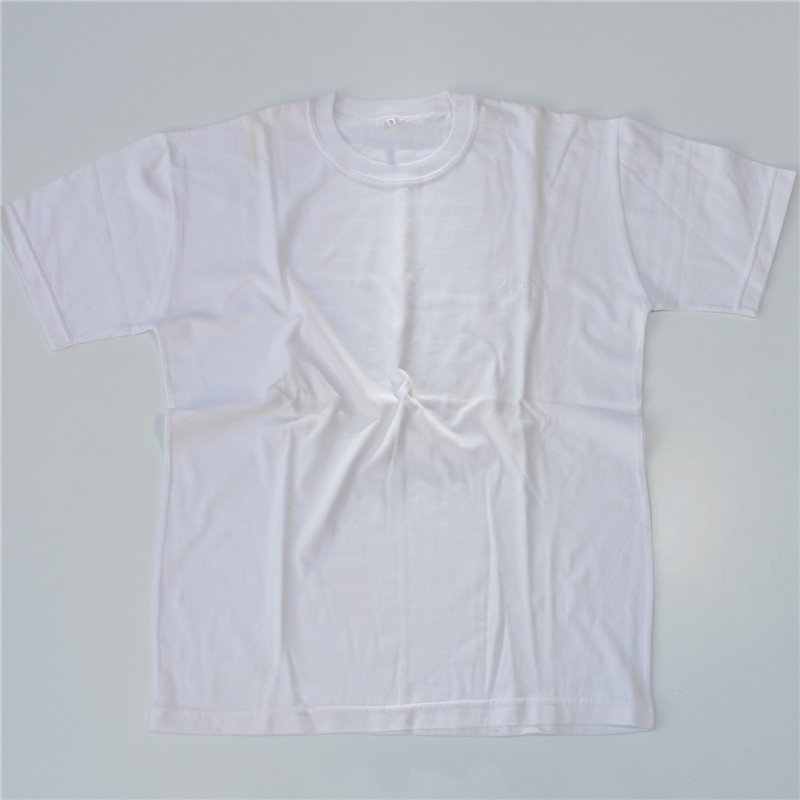Hombre remera algodon mangas cortas basica bordado KAMIR