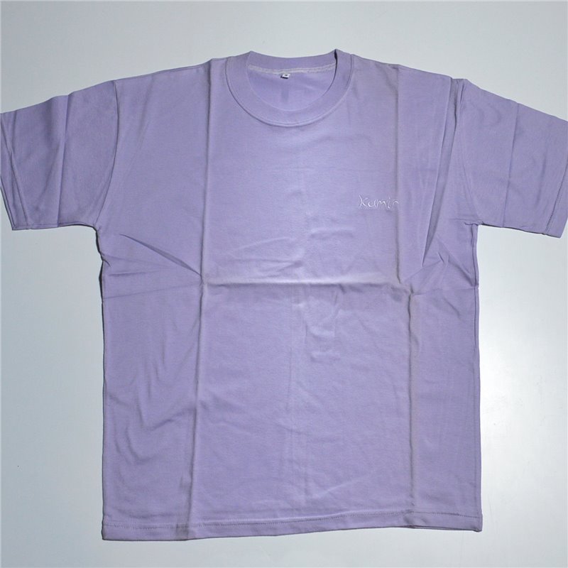 Hombre remera algodon mangas cortas basica bordado KAMIR